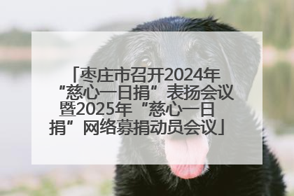 枣庄市召开2024年“慈心一日捐”表扬会议暨2025年“慈心一日捐”网络募捐动员会议