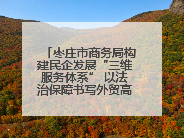枣庄市商务局构建民企发展“三维服务体系” 以法治保障书写外贸高质量答卷