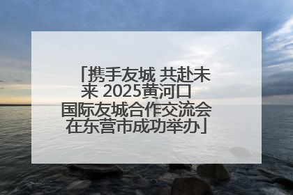 携手友城 共赴未来 2025黄河口国际友城合作交流会在东营市成功举办