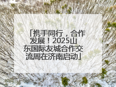 携手同行，合作发展！2025山东国际友城合作交流周在济南启动