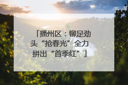 播州区：铆足劲头“抢春光”全力拼出“首季红”