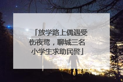 放学路上偶遇受伤夜鹭，聊城三名小学生求助民警
