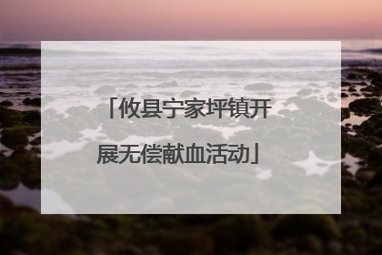 攸县宁家坪镇开展无偿献血活动