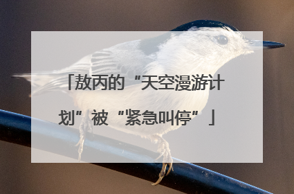 敖丙的“天空漫游计划”被“紧急叫停”