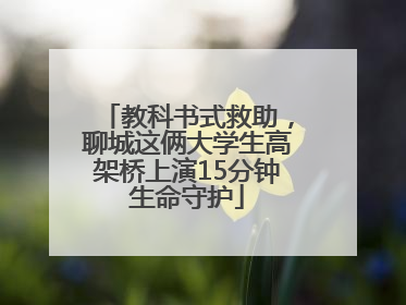 教科书式救助，聊城这俩大学生高架桥上演15分钟生命守护