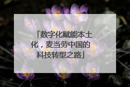 数字化赋能本土化，麦当劳中国的科技转型之路