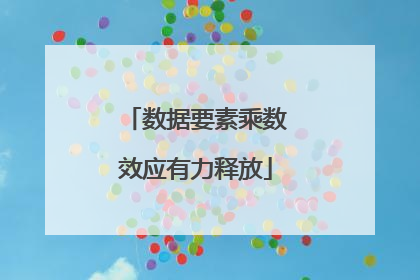 数据要素乘数效应有力释放
