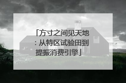 方寸之间见天地：从特区试验田到提振消费引擎