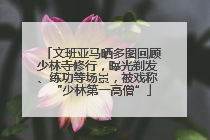 文班亚马晒多图回顾少林寺修行，曝光剃发、练功等场景，被戏称“少林第一高僧”