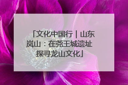 文化中国行｜山东岚山：在尧王城遗址探寻龙山文化