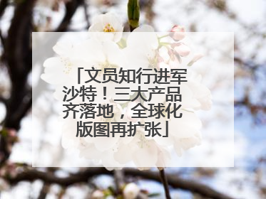 文员知行进军沙特！三大产品齐落地，全球化版图再扩张