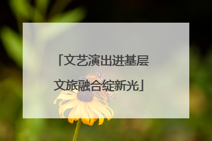 文艺演出进基层 文旅融合绽新光