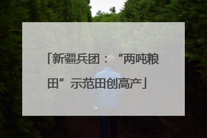 新疆兵团：“两吨粮田”示范田创高产