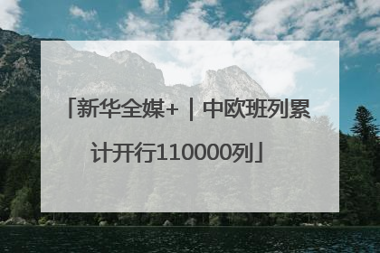 新华全媒+｜中欧班列累计开行110000列