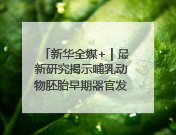 新华全媒+｜最新研究揭示哺乳动物胚胎早期器官发育“密码”