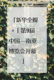 新华全媒+丨第9届中国—南亚博览会开幕