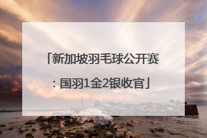 新加坡羽毛球公开赛：国羽1金2银收官