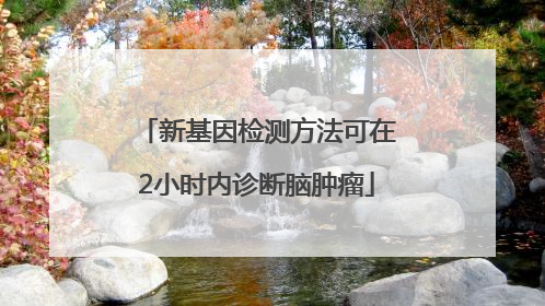 新基因检测方法可在2小时内诊断脑肿瘤