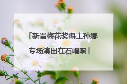 新晋梅花奖得主孙娜专场演出在石唱响