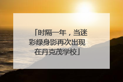 时隔一年，当迷彩绿身影再次出现在丹克茂学校