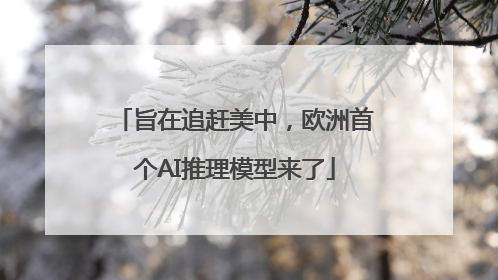 旨在追赶美中，欧洲首个AI推理模型来了
