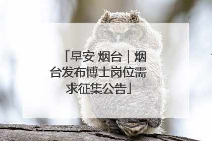 早安 烟台｜烟台发布博士岗位需求征集公告