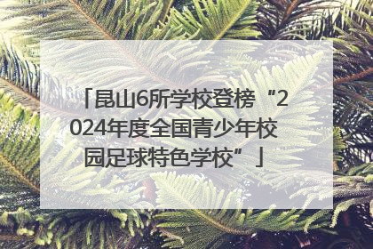 昆山6所学校登榜“2024年度全国青少年校园足球特色学校”