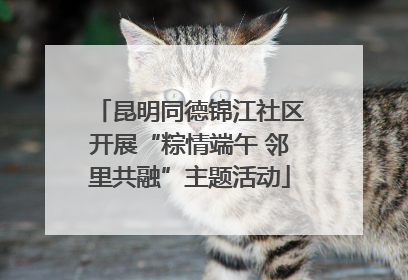 昆明同德锦江社区开展“粽情端午 邻里共融”主题活动