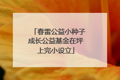 春雷公益小种子成长公益基金在坪上完小设立