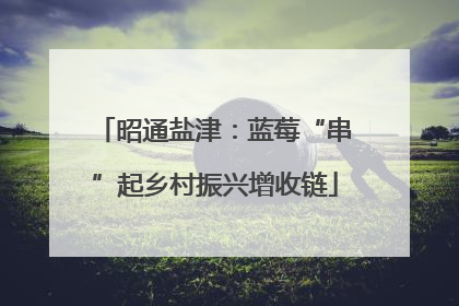 昭通盐津：蓝莓“串”起乡村振兴增收链
