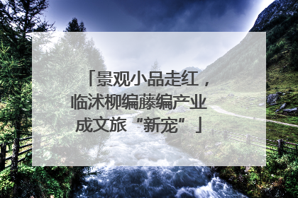 景观小品走红，临沭柳编藤编产业成文旅“新宠”