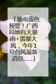 暴雨蓝色预警！广西局地有大暴雨+雷暴大风，今年1号台风最新消息……