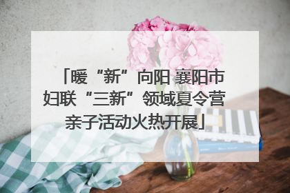 暖“新”向阳 襄阳市妇联“三新”领域夏令营亲子活动火热开展
