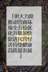 更大力度推动营商环境全方位优化升级加快促进民营经济持续健康高质量发展