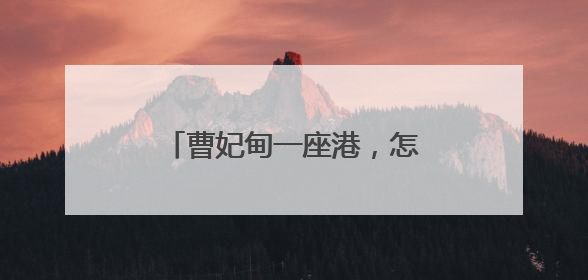 曹妃甸一座港，怎样带动一座城？人民日报记者调查