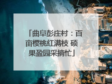 曲阜彭庄村：百亩樱桃红满枝 硕果盈园采摘忙