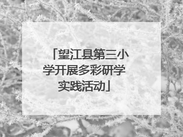 望江县第三小学开展多彩研学实践活动