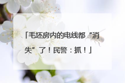 毛坯房内的电线都“消失”了！民警：抓！