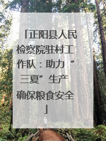 正阳县人民检察院驻村工作队：助力“三夏”生产 确保粮食安全