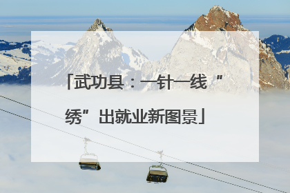 武功县：一针一线“绣”出就业新图景