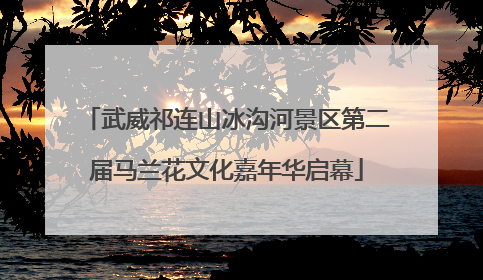 武威祁连山冰沟河景区第二届马兰花文化嘉年华启幕