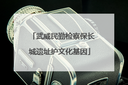 武威民勤检察保长城遗址护文化基因