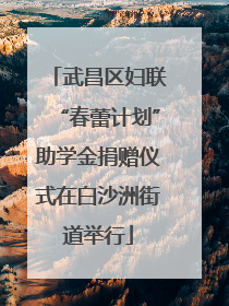 武昌区妇联“春蕾计划”助学金捐赠仪式在白沙洲街道举行