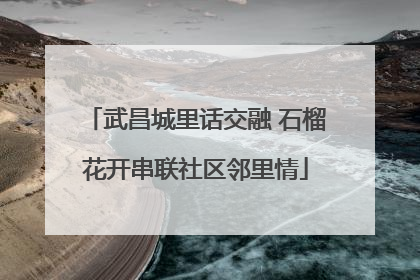 武昌城里话交融 石榴花开串联社区邻里情