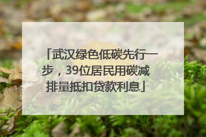 武汉绿色低碳先行一步，39位居民用碳减排量抵扣贷款利息