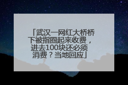 武汉一网红大桥桥下被指圈起来收费，进去100块还必须消费？当地回应