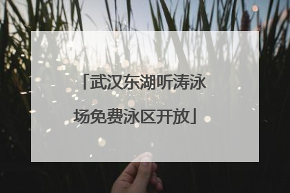 武汉东湖听涛泳场免费泳区开放