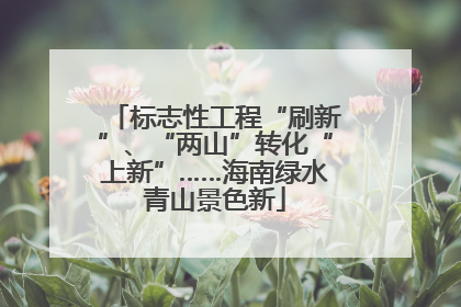 标志性工程“刷新”、“两山”转化“上新”……海南绿水青山景色新