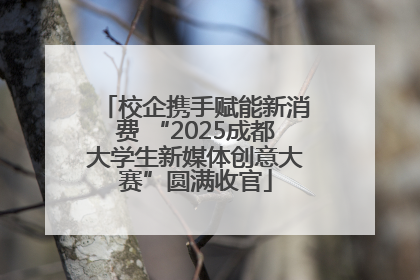 校企携手赋能新消费 “2025成都大学生新媒体创意大赛”圆满收官