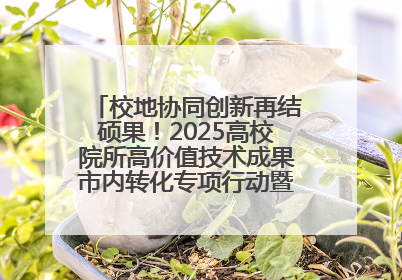 校地协同创新再结硕果！2025高校院所高价值技术成果市内转化专项行动暨技术成果项目路演对接会举办